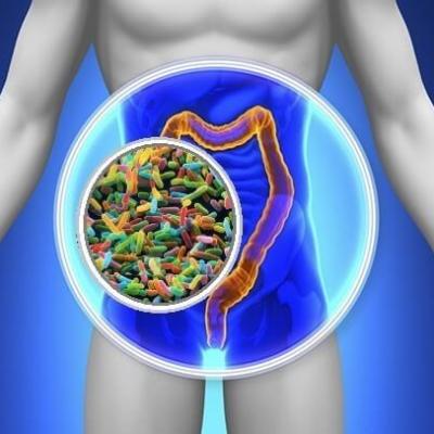 Những vấn đề về dạ dày từ chế độ ăn chay trường